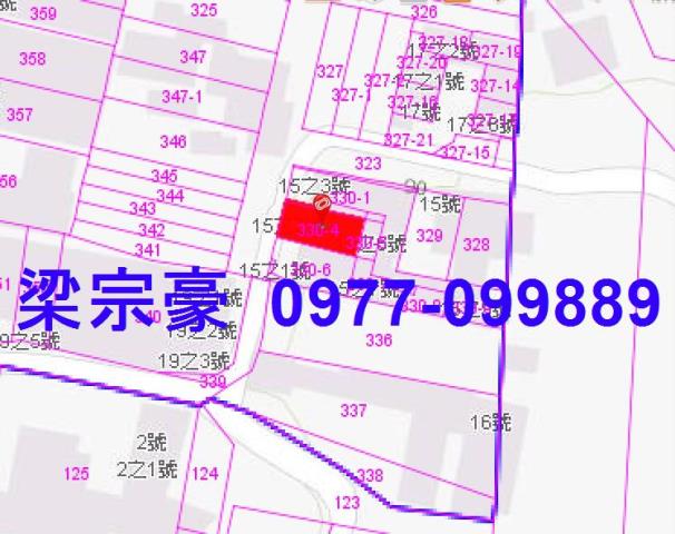 太平法拍透天-4